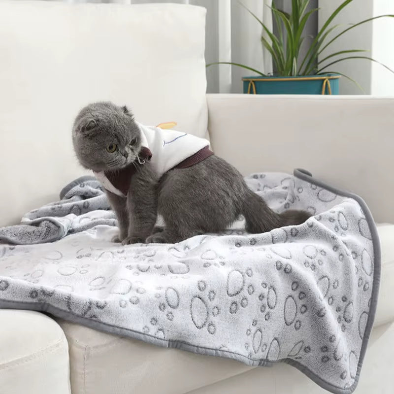 Pet Blanket & Throw-Durable Soft Breathable Eco-Friendly for Dogs & Cats Versatile Use Indoor/Outdoor Coral Fleece