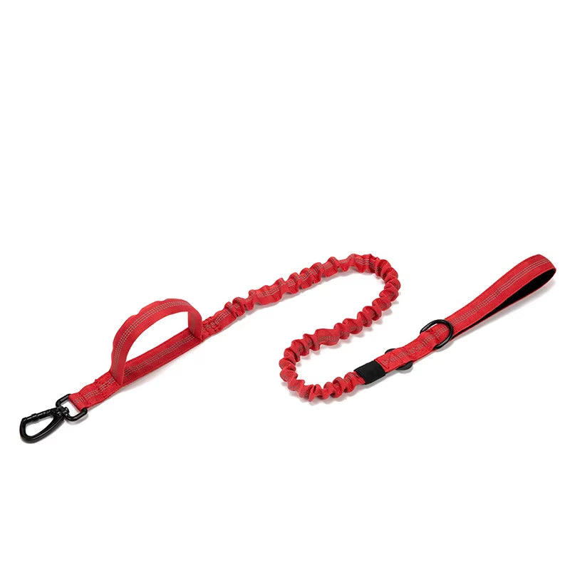 Customize Logo&Color Pet Products Metal Buckle Training Collar for Medium Large Dogs Tactical Dog Collar and Leash Set