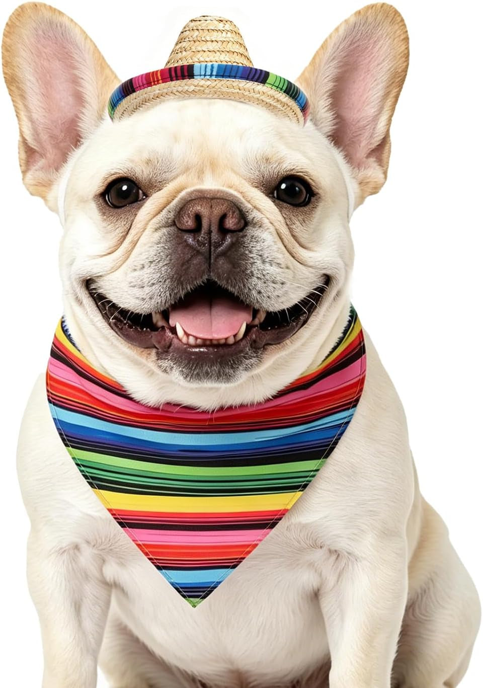 Mexican Day of the Dead Dog Bandana Outfit Scarf with Cute Doggy Sombrero Hat, Halloween Costumes Decorations Supplies for Small Medium Large Dogs Boy Girl Gifts, Colorful