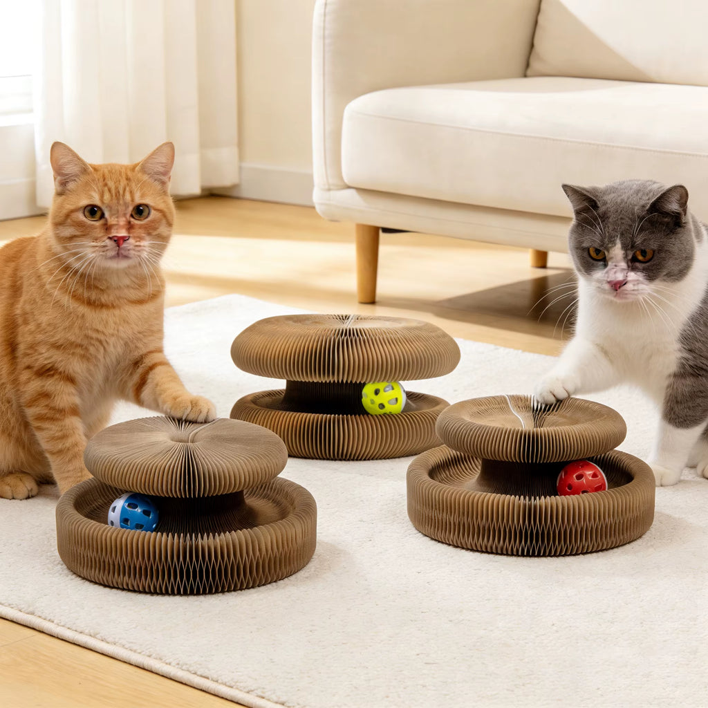Magic Organ Cat Scratcher Board Cat Ball Adventure the Ultimate Interactive Mental Physical Exercise for Indoor Cats Toy