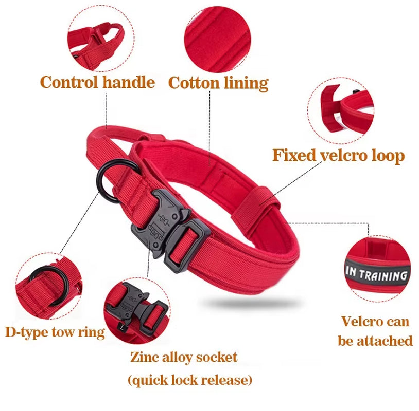 Customize Logo&Color Pet Products Metal Buckle Training Collar for Medium Large Dogs Tactical Dog Collar and Leash Set