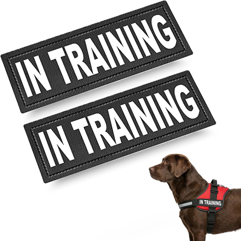 2 Training Dog Patch - Reflective Hook-Back Dog Patches for Clear Visibility, Durable Vest Patches for Training Identification, Compatible with Hook and Loop Vest Gear - Large 2"X6"