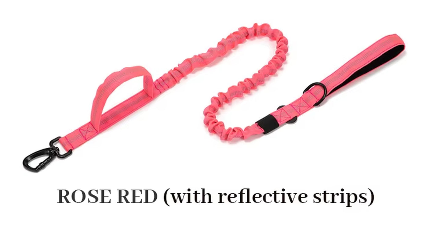 Customize Logo&Color Pet Products Metal Buckle Training Collar for Medium Large Dogs Tactical Dog Collar and Leash Set