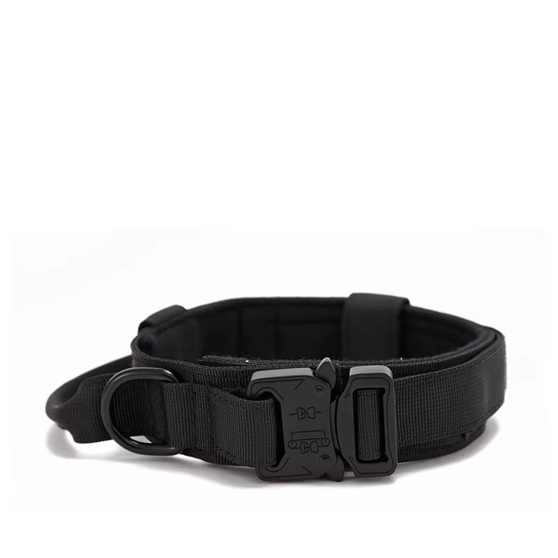 Customize Logo&Color Pet Products Metal Buckle Training Collar for Medium Large Dogs Tactical Dog Collar and Leash Set