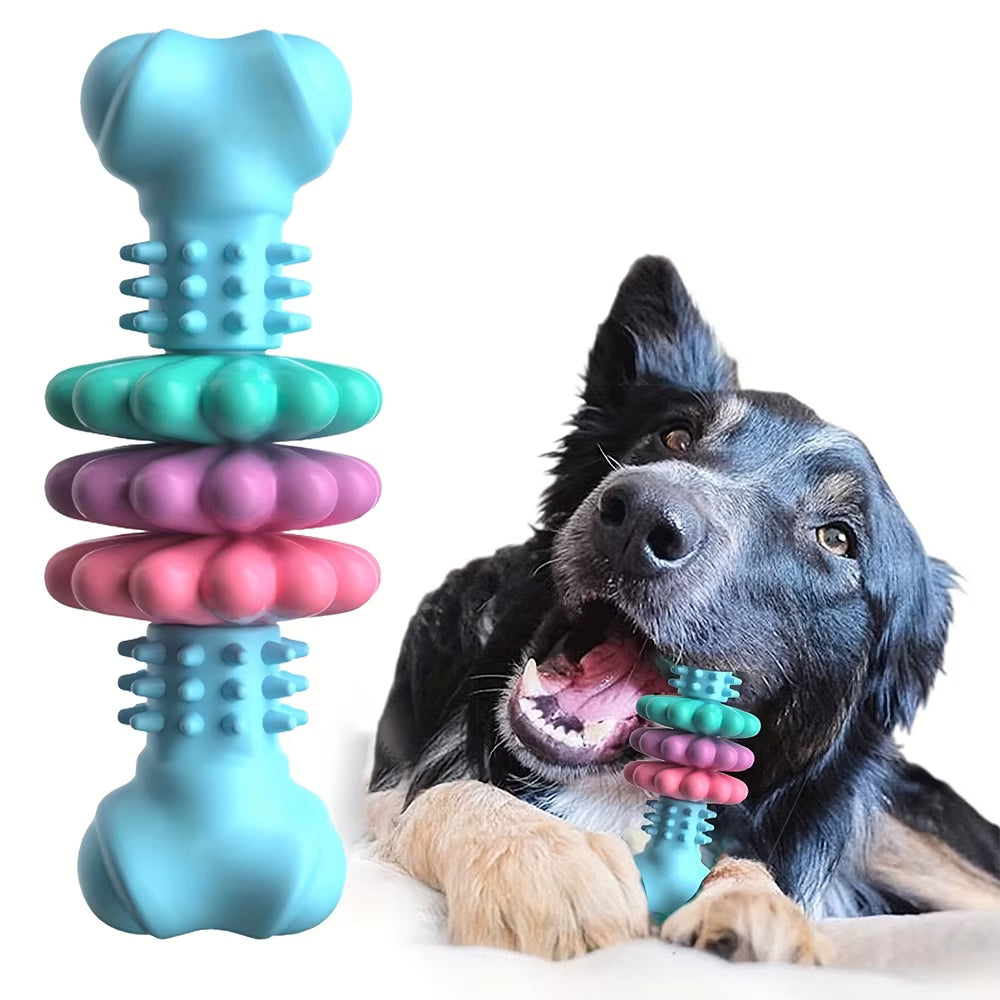 TPR Bone Shape Dog Chew Toy for All Size Dogs Teething Relief Colorful Chew Bone for Boredom Busting and Dental Care