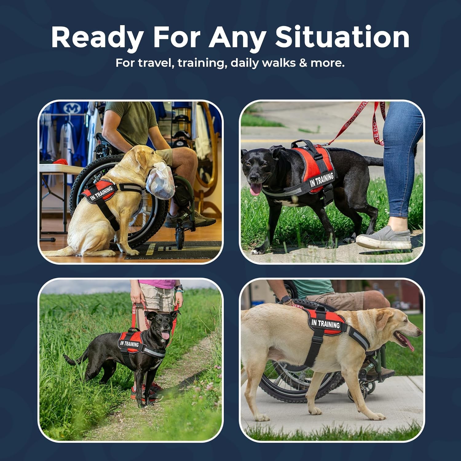 2 Training Dog Patch - Reflective Hook-Back Dog Patches for Clear Visibility, Durable Vest Patches for Training Identification, Compatible with Hook and Loop Vest Gear - Large 2"X6"