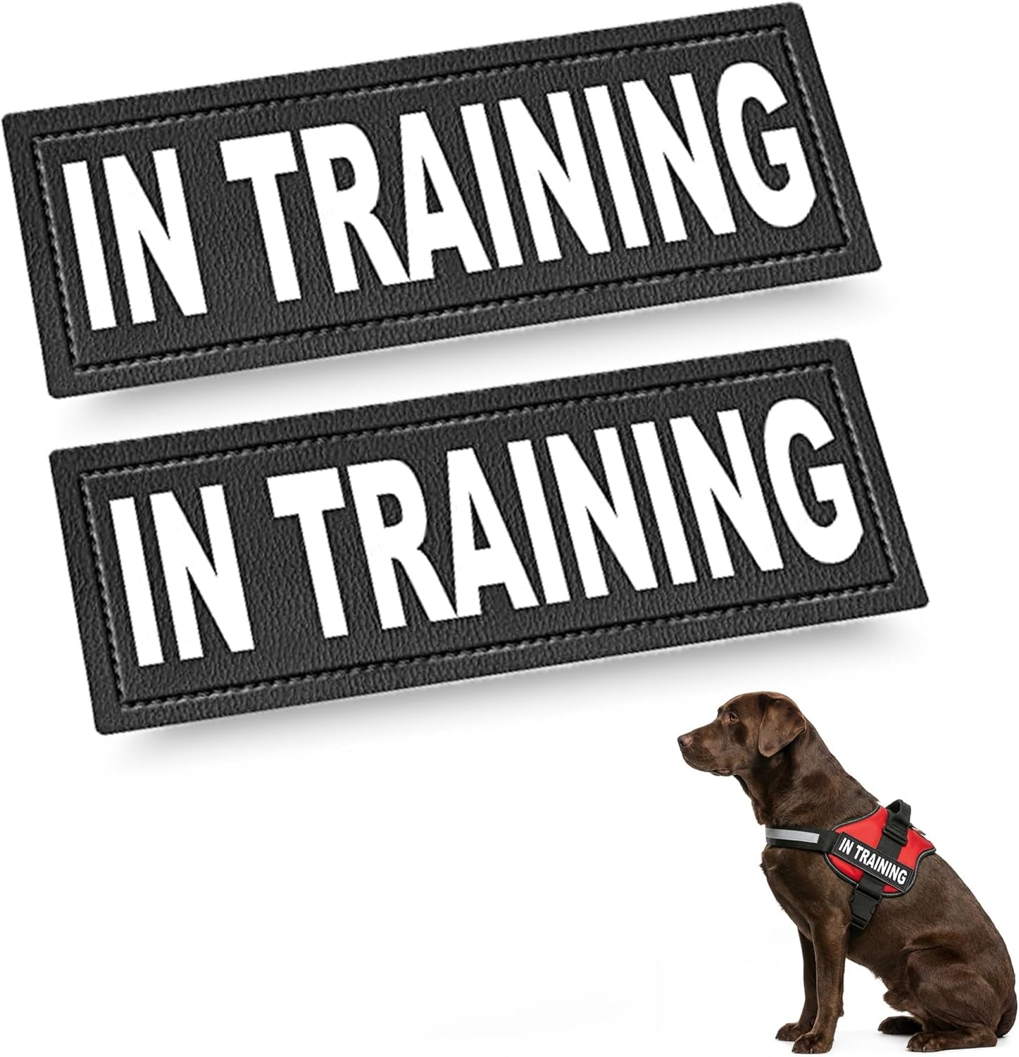 2 Training Dog Patch - Reflective Hook-Back Dog Patches for Clear Visibility, Durable Vest Patches for Training Identification, Compatible with Hook and Loop Vest Gear - Large 2"X6"