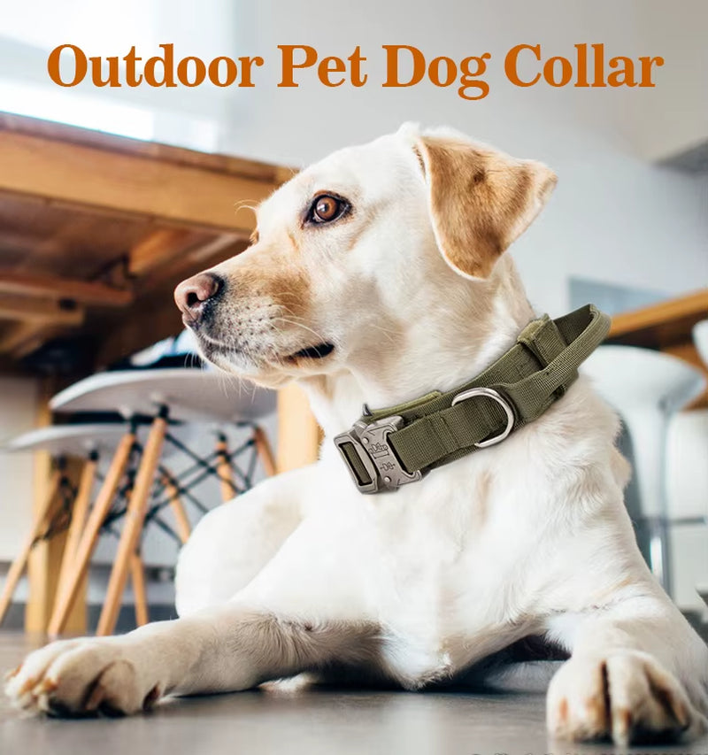 Customize Logo&Color Pet Products Metal Buckle Training Collar for Medium Large Dogs Tactical Dog Collar and Leash Set