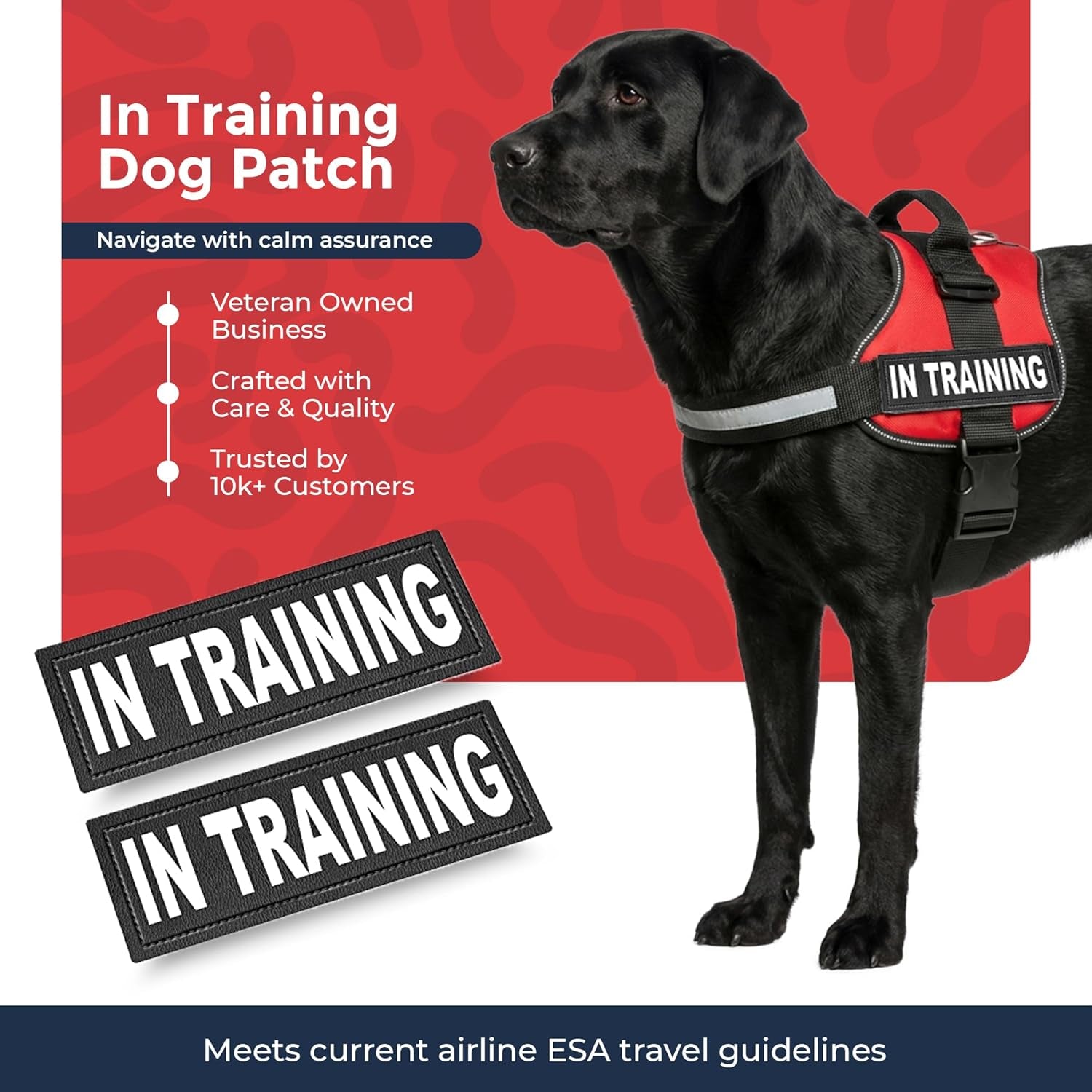 2 Training Dog Patch - Reflective Hook-Back Dog Patches for Clear Visibility, Durable Vest Patches for Training Identification, Compatible with Hook and Loop Vest Gear - Large 2"X6"