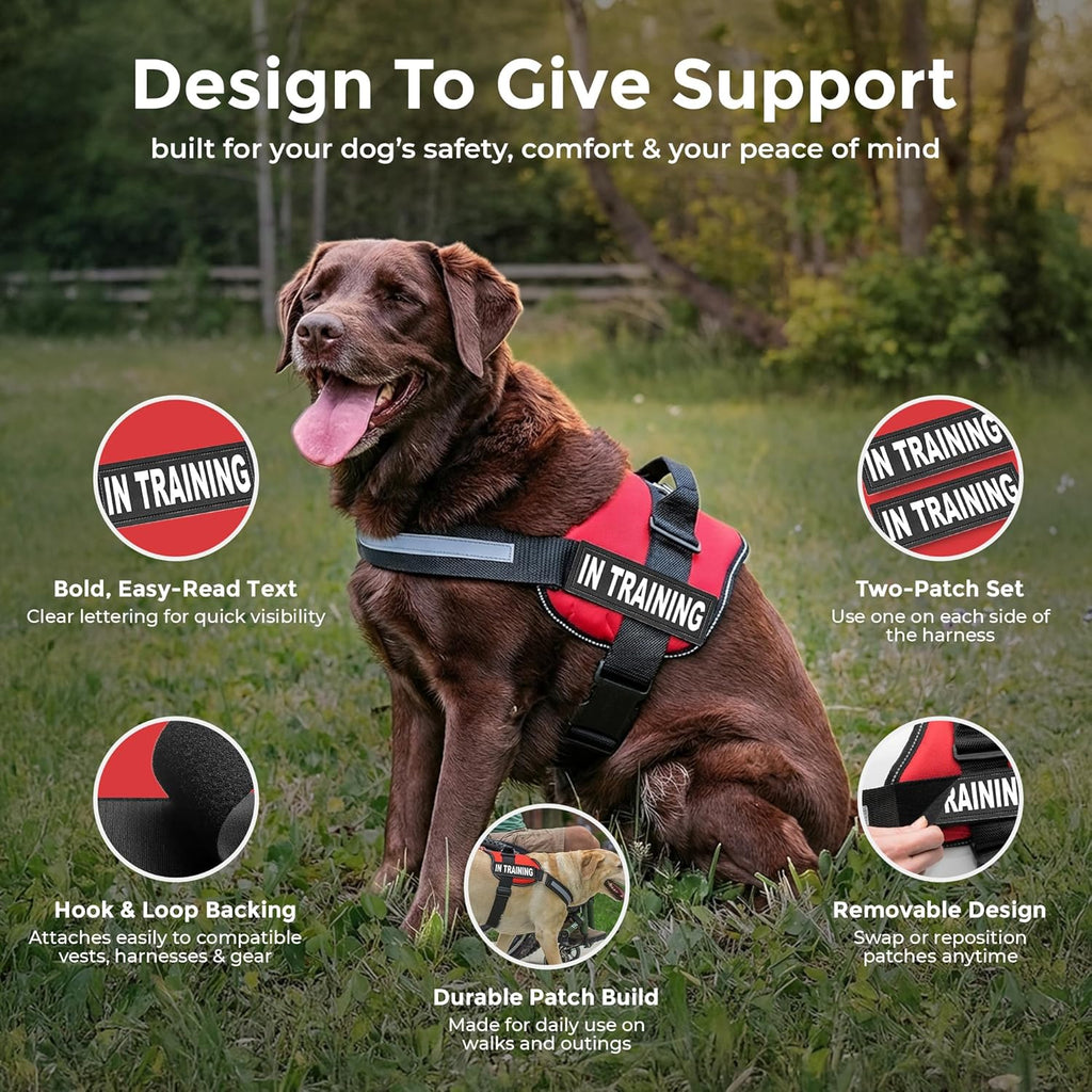 2 Training Dog Patch - Reflective Hook-Back Dog Patches for Clear Visibility, Durable Vest Patches for Training Identification, Compatible with Hook and Loop Vest Gear - Large 2"X6"